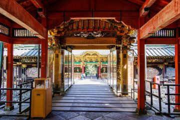 IMG_2131_20230310-scaled