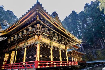 IMG_2134_20230310-scaled