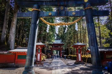 IMG_2161_20230310-scaled