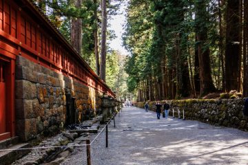 IMG_2166_20230310-scaled