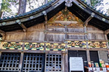 IMG_2181_20230310-scaled