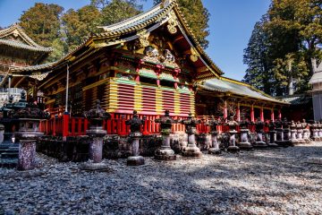 IMG_2184_20230310-scaled