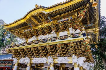 IMG_2219_20230310-scaled