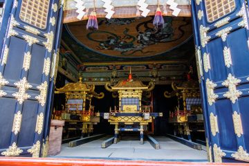 IMG_2224_20230310-scaled