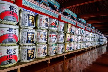 IMG_2237-Edit_20230310-scaled