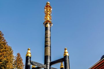 IMG_2277_20230310-scaled