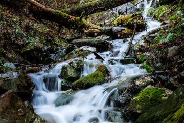 A stream at the beginning of the trail