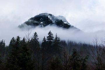 IMG_0105_20230101-scaled