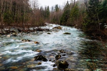 Lynn Creek