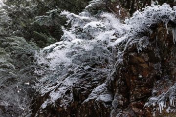 IMG_4065_20240114-scaled