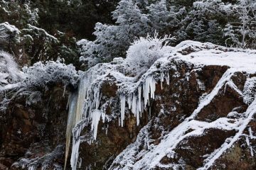 IMG_4066_20240114-scaled