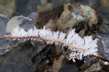 IMG_4077_20240114-scaled