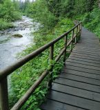 Wooden bridge on the way to the Falls in the Summer