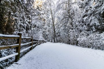 Trail to Norvan Falls after a snow storm