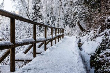 Wooden bridge on the way to the Falls in the Winter