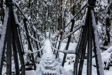 Trail to Norvan Falls after a snow storm