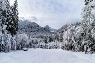 Trail to Norvan Falls after a snow storm