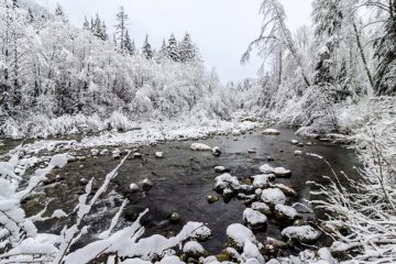 Wickenden Creek