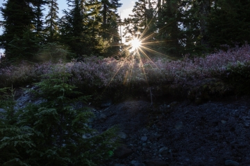 Morning sun on the trail