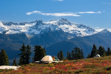 Campers here must be in heaven