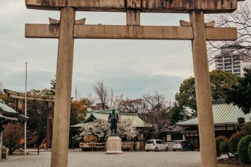 IMG_5199_20230320-scaled