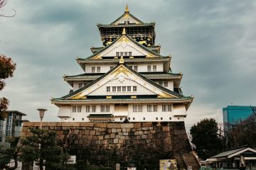 IMG_5204_20230320-scaled