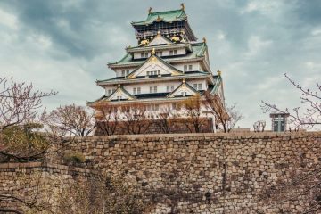 IMG_5229_20230320-scaled