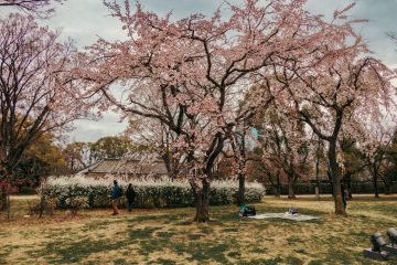 IMG_5237_20230320-scaled