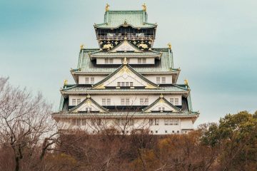 IMG_5248_20230320-scaled