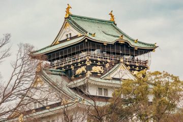 IMG_5249_20230320-scaled