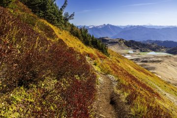 Fall colors on the trail