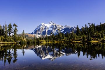 Picture lake with Mount Shuksan with its reflection