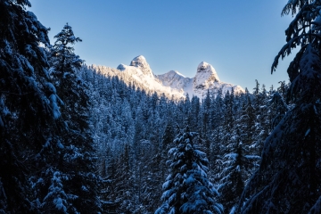 The Lions in Winter