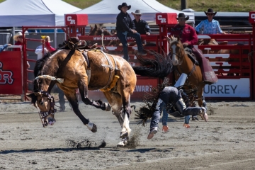 Cloverdale Rodeo