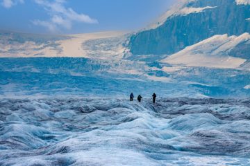 Columbia Icefield, Jasper National Park, Alberta