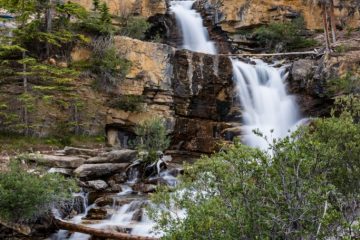 Tangle Creek Falls, Icefields Parkway, Alberta