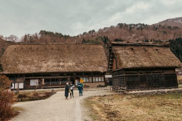 IMG_3893_20230315-scaled