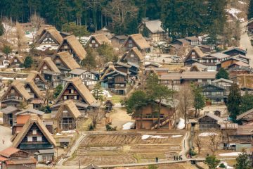 IMG_3904_20230315-scaled