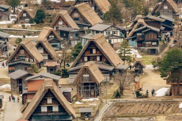 IMG_3910_20230315-scaled