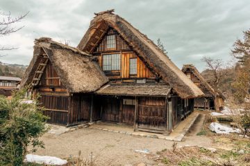 IMG_3929_20230315-scaled