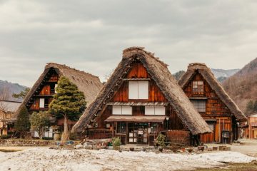 IMG_3936_20230315-scaled