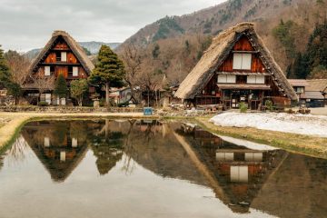 IMG_3943_20230315-scaled