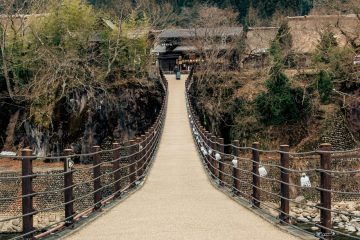 IMG_3972_20230315-scaled