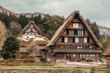 IMG_3981_20230315-scaled