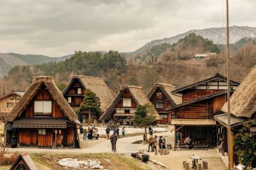 IMG_3982_20230315-scaled