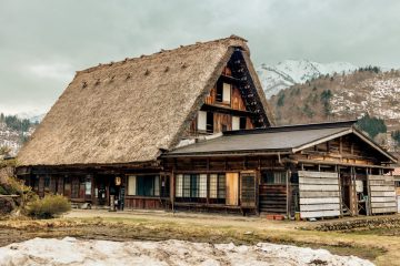 IMG_3985_20230315-scaled