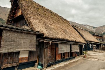 IMG_3994_20230315-scaled