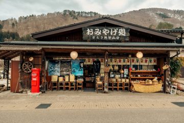 IMG_3998_20230315-scaled