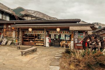 IMG_3999_20230315-scaled