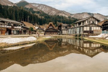 IMG_4000_20230315-scaled